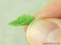 ⑬ 小さい葉2枚は、付け根の部分を親指と人差し指でつまんで立体的にする<br>※大きい葉はしない